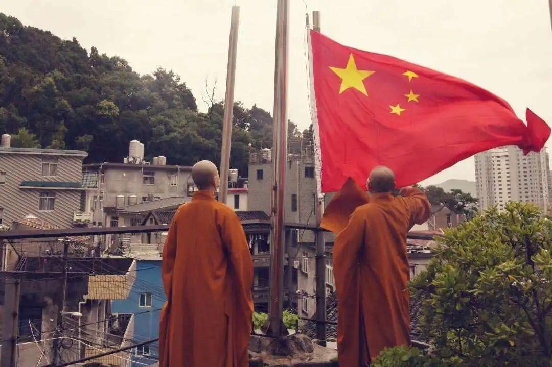 野生新鲜石斛多少钱一斤,你了解多少?石斛新手必看!